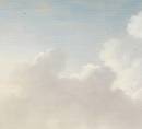 Обои