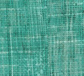 Обои Elitis Raffia & Madagascar, VP 601 66