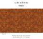 Обои Elitis Mille millions - VP 862 02