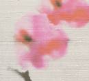 Обои