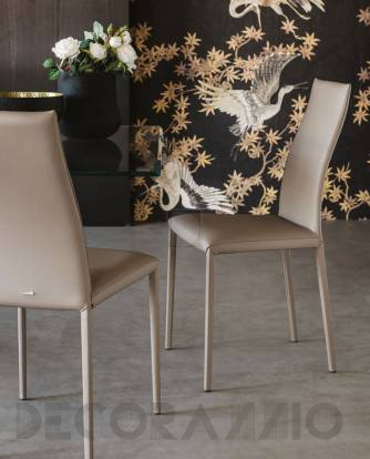 Стул Cattelan Italia Kay - cattelan-kay