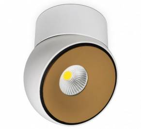 Светильник  потолочный накладной (Спот) BPM Lighting Oracle, 20087.02.W-G