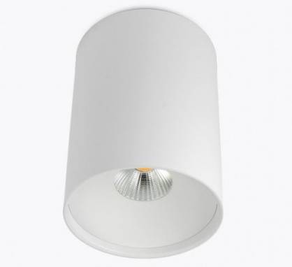 Светильник  потолочный накладной (Светильник потолочный)