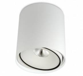 Светильник  потолочный накладной (Спот) BPM Lighting Tube, 9053.01.SR