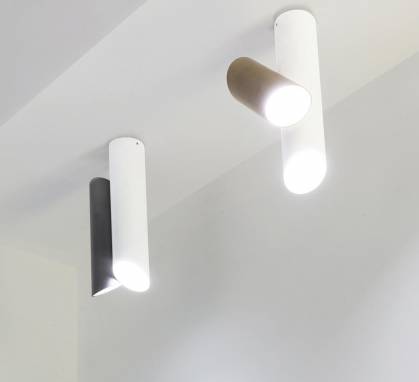 Светильник  потолочный накладной (Светильник потолочный)