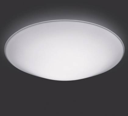 Светильник  потолочный накладной (Светильник потолочный)