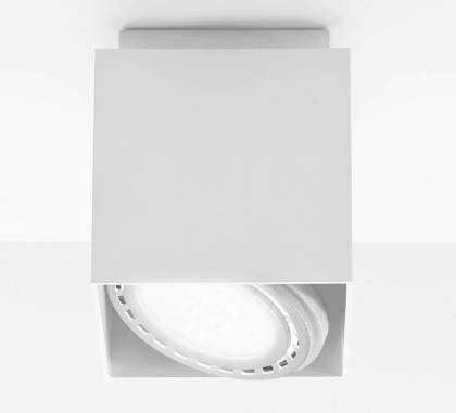 Светильник  потолочный накладной (Светильник потолочный)