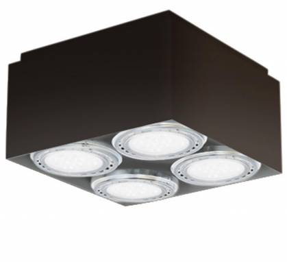 Светильник  потолочный накладной (Светильник потолочный)