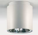 Светильник  потолочный накладной (Светильник потолочный)