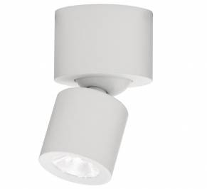 Светильник  потолочный накладной (Спот) Intra Lighting Fyo, 16721112111