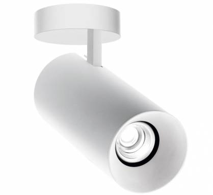 Светильник  потолочный накладной (Светильник потолочный)