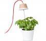 Светильник потолочный/настольный (Светильник) Linea Light Bulbo - 8010