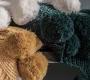 Плед Gallery Knitted - 5056315928787