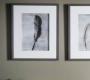 Картина Gallery Feather - 5055999228640