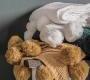 Плед Gallery Knitted - 5056315928794