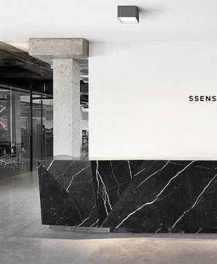 Светильник  потолочный накладной (Светильник потолочный)