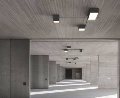 Светильник  потолочный накладной (Светильник потолочный)