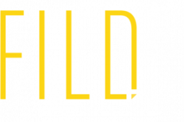 The FILD The FILD