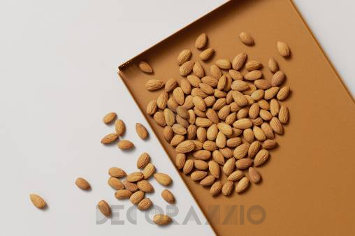 The FILD TOM TRAY -