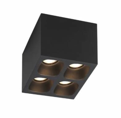 Светильник  потолочный накладной (Светильник потолочный)