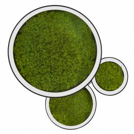 Светильник Alphabet FI ALPHA MOSS, FMP601827OW