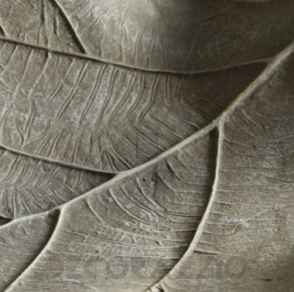 Декор Gallery Birch - 5055999209564