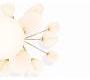 Светильник потолочный подвесной (Люстра) Tom Dixon Plane - SLL03ABEU